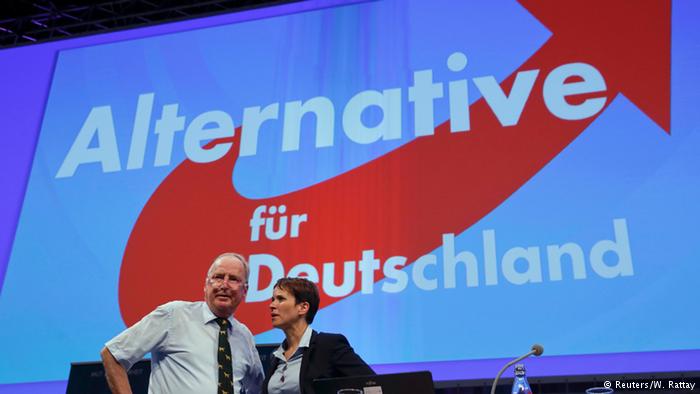 Партия Альтернатива для Германии получила 13,5% - экзит-полл