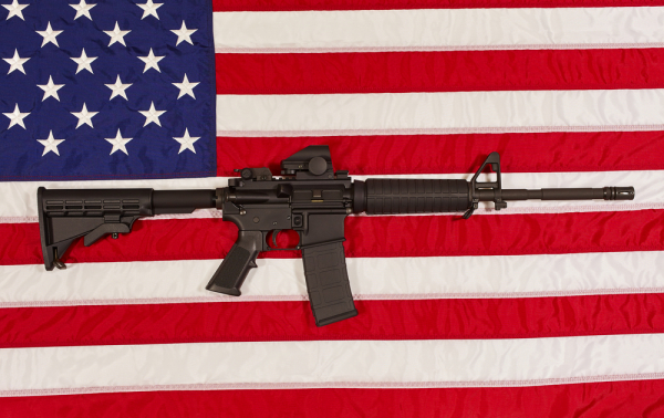 Литва продала подаренные США винтовки за 347 евро