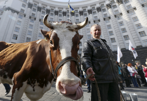 Украинские власти готовятся «отжимать» частную собственность