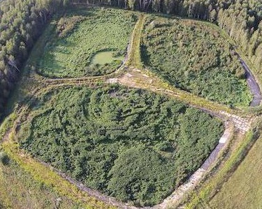 Полицейские Крыма уничтожили плантации конопли стоимостью в 3,5 миллиона долларов Полицейские Крыма уничтожили плантации конопли стоимостью в 3,5 миллиона долларов