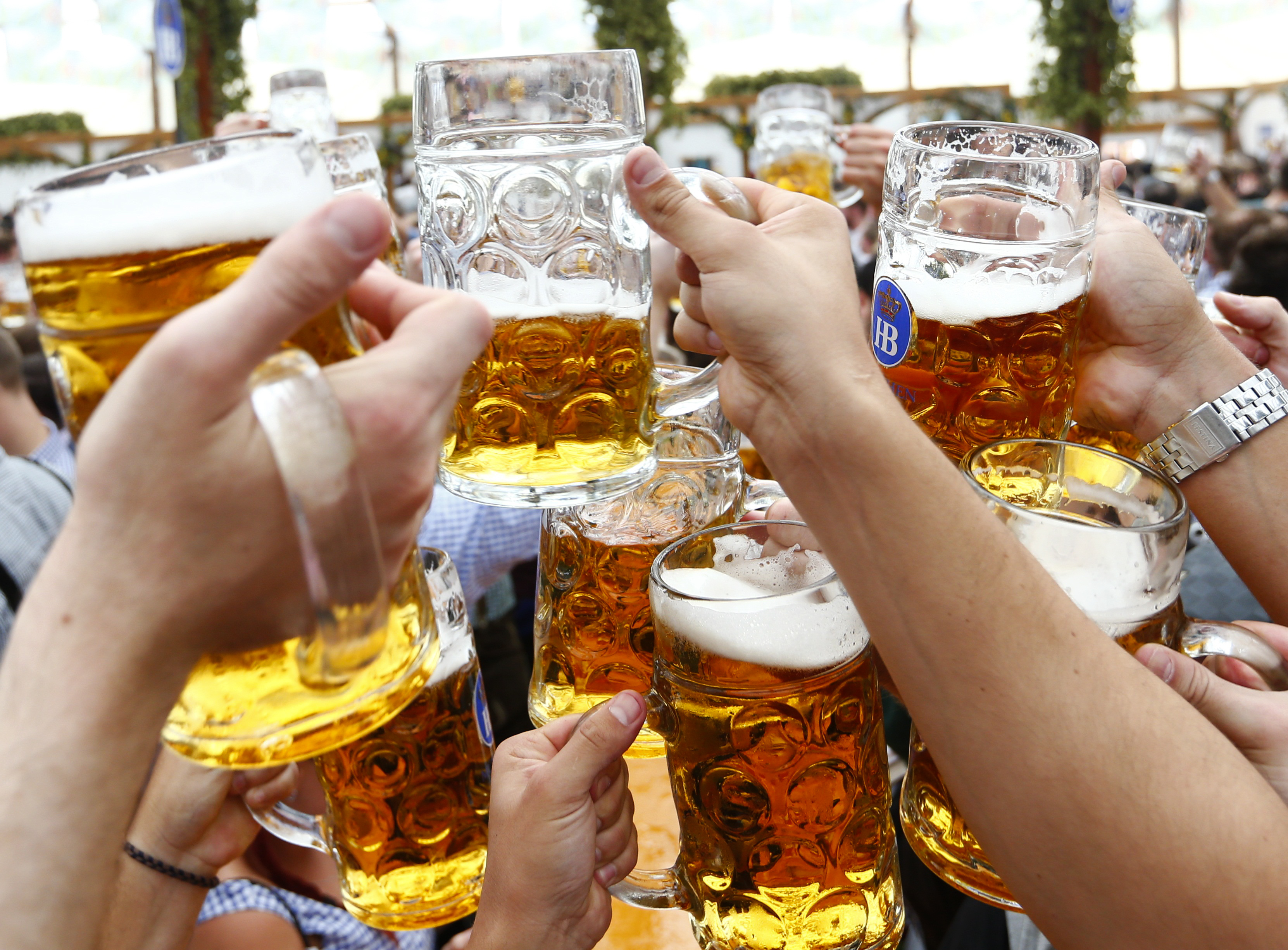 Пивная программа. Пивное застолье. Застолье с пивом. Бавария пивной фестиваль.