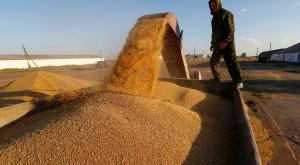 Bloomberg: Россия становится "зерновой сверхдержавой"