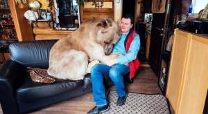 Британцы пришли в восторг от российской семьи, держащей 136-килограммового медведя