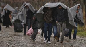 Чешский премьер предупредил РФ о риске транзита мигрантов в ЕС