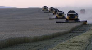 Financial Times: Россия станет мировым лидером на рынке пшеницы