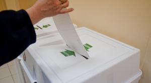 Глава ЦИК попросила у международных наблюдателей на выборах в Госдуму "просто правды"