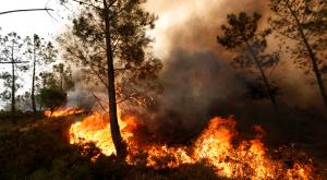 МЧС России для тушения лесных пожаров направило в Португалию два Бе-200ЧС