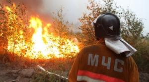 Медведев предложил наказывать власти регионов за неготовность к пожарам