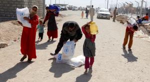 МИД РФ предупреждает о масштабной гуманитарной катастрофе в Мосуле