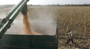 Минсельхоз на 3 млн тонн повысил прогноз сбора пшеницы в России в 2016 году