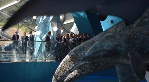Путин проинспектировал научный комплекс "Океанариум" на острове Русский