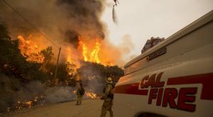 Около 11 тысяч пожарных тушат леса в Калифорнии   
