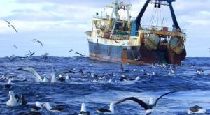 При крушении траулера в Охотском море погибли более 50 моряков