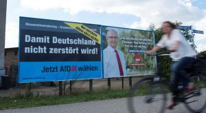 "Региональные выборы в Германии" - немцы ответили на миграционную политику Меркель