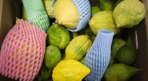 Россельхознадзор снял запрет на поставки фруктов и овощей из Египта
