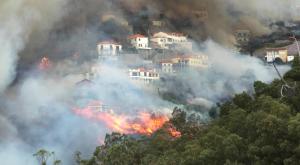 Россия готова увеличить свою помощь Португалии в тушении лесных пожаров
