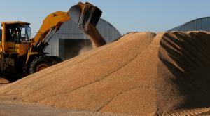 Россия планирует нарастить поставки зерна в Палестину в 4 раза