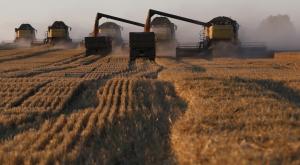 Российский экспорт ячменя и зерна растет