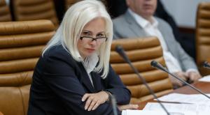 Сенатор Ковитиди: крымский меджлис финансировался Турцией и НАТО для разжигания розни