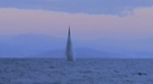 СМИ: КНДР произвела запуск баллистической ракеты из подводного положения
