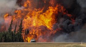 СМИ: лесной пожар уничтожил лагерь нефтяников на западе Канады
