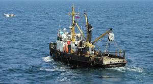 Спасатели обследуют 8,5 тысяч кв. км акватории Охотского моря на месте крушения траулера