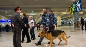 Таможенники России обучили собак находить нелегальные крупные суммы денег