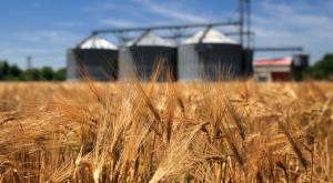 Украина хочет спасти от голода Африку и Азию поставками зерна