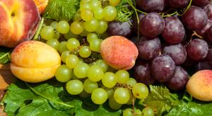 Узбекистан заявил о готовности заменить РФ турецкие овощи и фрукты