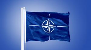 В Госдуме прокомментировали заявление США о попытках России "расшатать НАТО"