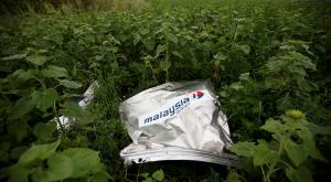 В МИД Германии считают расследование по крушению МН17 «тщательным и серьезным»