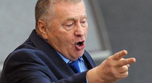 Жириновский предлагает сократить число депутатов вдвое