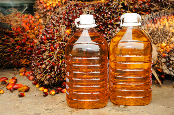 Российский бизнес наращивает импортозамещение за счет закупок пальмового масла