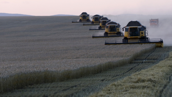 Financial Times: Россия станет мировым лидером на рынке пшеницы