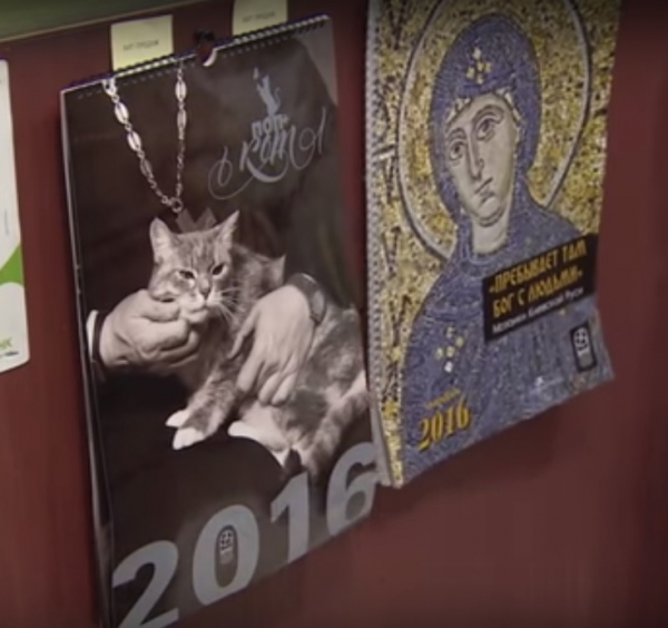 Календари на 2016 год в рамках проекта "Поп + кот" набирают популярность