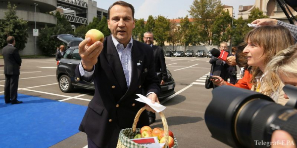 Казахстан заподозрили в реэкспорте польских яблок в Россию