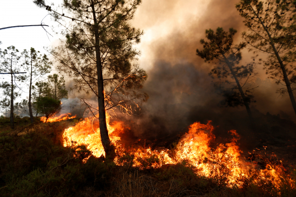 МЧС России для тушения лесных пожаров направило в Португалию два Бе-200ЧС