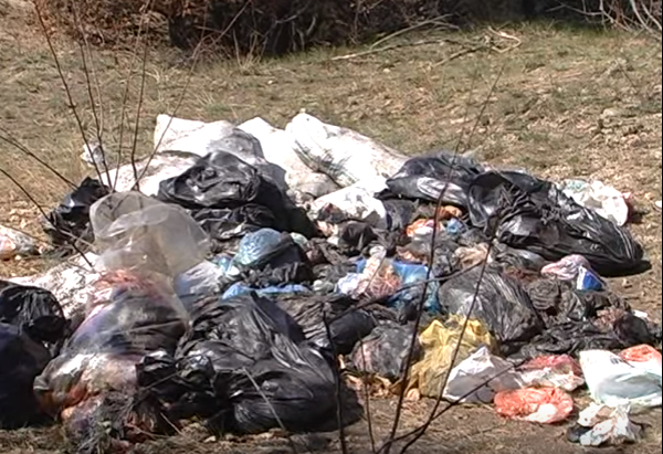 На Украине нашли очередную свалку биологических отходов в лесополосе