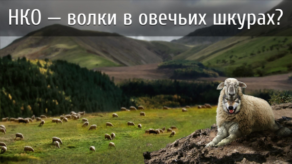 НКО — волки в овечьих шкурах?