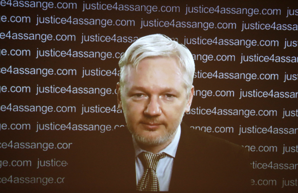 Основатель WikiLeaks заставил замяться журналистку NYT после вопроса о России