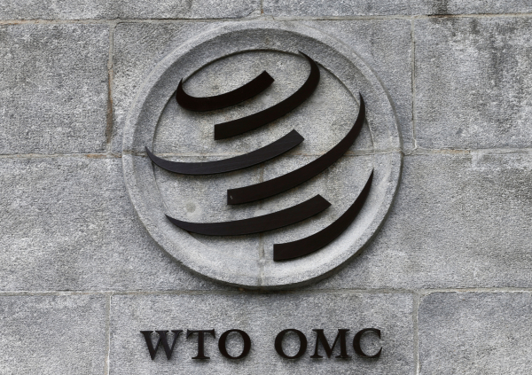 Россия готова воспользоваться падением авторитета ВТО