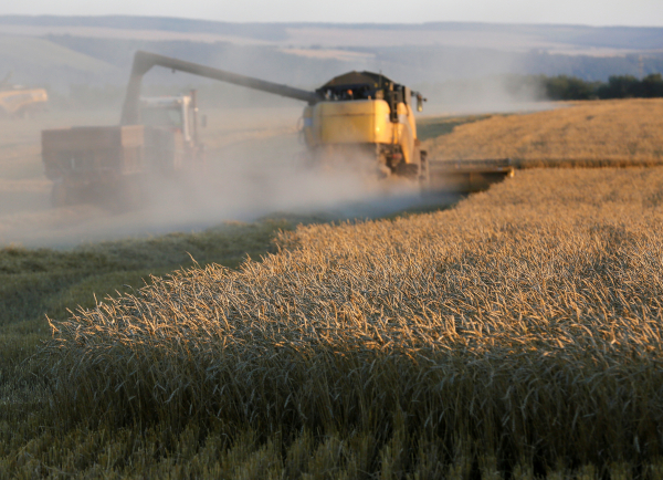Путин: в 2016 году ожидается лучший за всю историю современной России урожай зерна