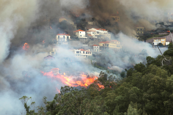 Россия готова увеличить свою помощь Португалии в тушении лесных пожаров