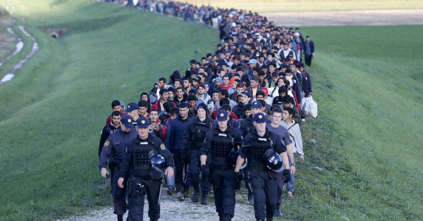 Словения одобрила привлечение армии для ограничения притока беженцев