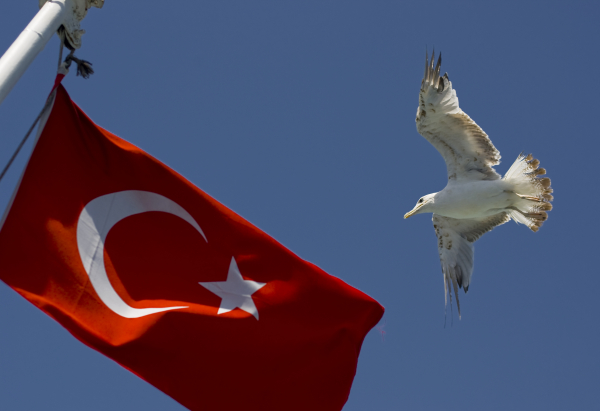 Турция ввела визовый режим для граждан РФ  со служебными паспортами
