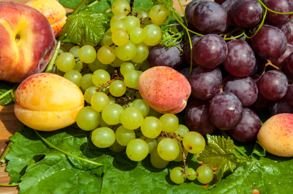Узбекистан заявил о готовности заменить РФ турецкие овощи и фрукты