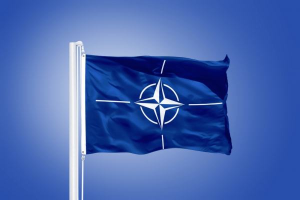 В Госдуме прокомментировали заявление США о попытках России "расшатать НАТО"