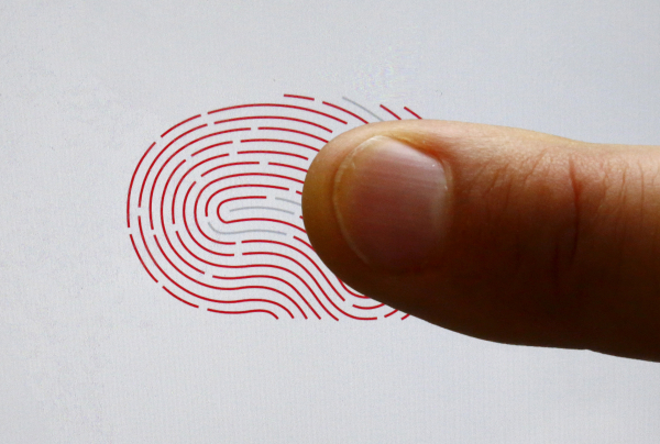 В России тестируют систему сбора биометрических данных для выдачи виз