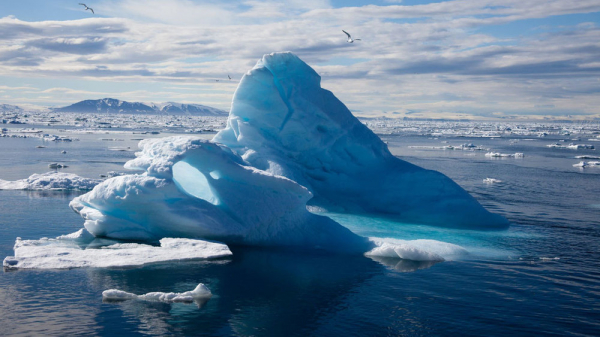 Welt: В Арктике сталкиваются интересы многих держав