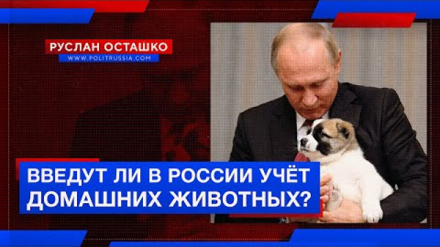 Введут ли в России учёт домашних животных? (Руслан Осташко)